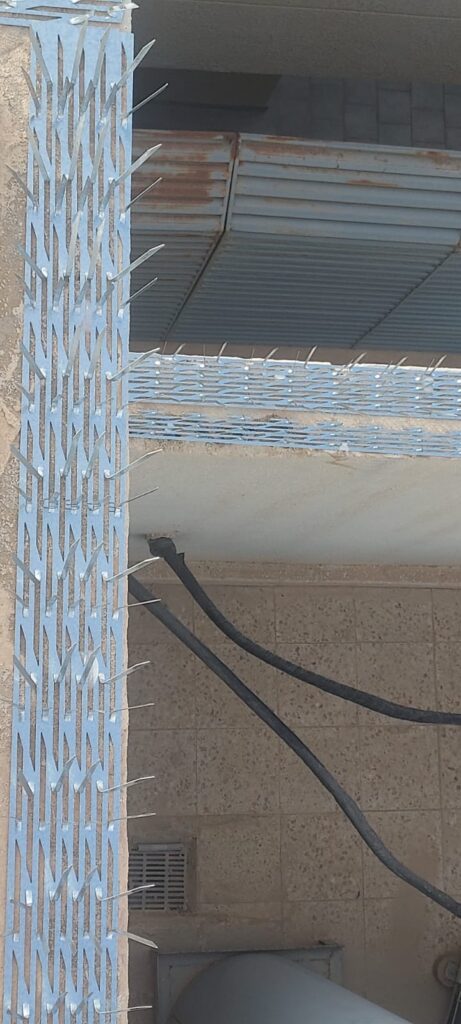 شركة تركيب طارد حمام بالرياض